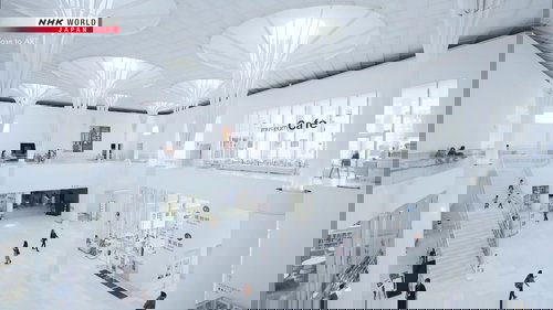 Background image for Close to ART: Okinawa Prefectural Museum and Art Museum