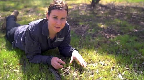 Background image for Episode 7 Edible Petals, Stem Cuttings & Oz Wildlife
