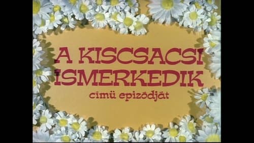 A kiscsacsi ismerkedik