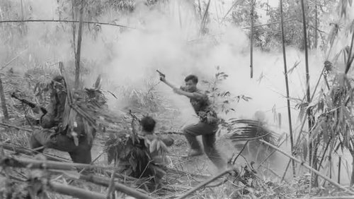 Background image for The Vietnam war: Part 3 - Hell on Earth