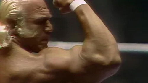 Background image for Madison Square Garden: June 27, 1977