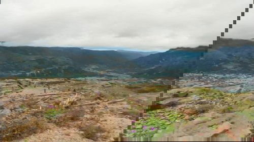 Background image for The Petrified Forest