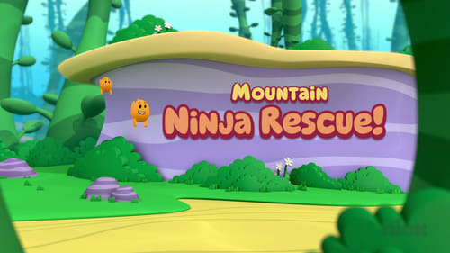 Mountain Ninja Rescue!