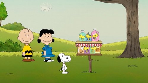 Background image for Choose to Reuse