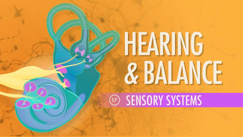 Hearing & Balance