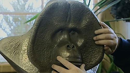 Background image for Episode 3