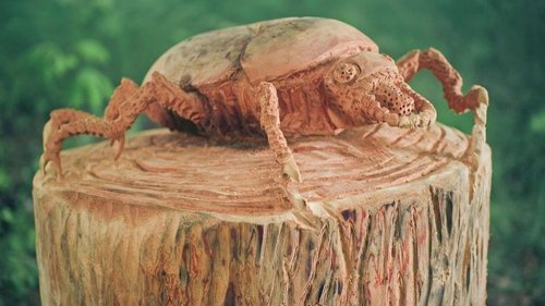 Background image for Bird Abodes and Big Bugs