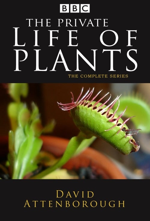 Show cover for The Private Life of Plants