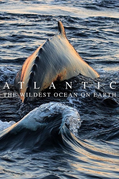 Show cover for Atlantic: The Wildest Ocean on Earth