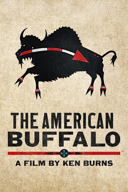 Show cover for The American Buffalo