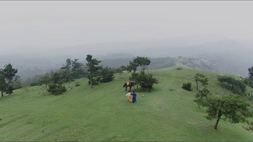 Background image for Episode 24