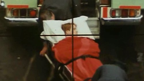 Background image for The Madness of Mickey Hamilton