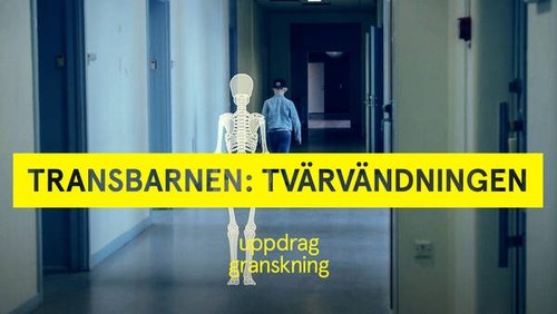 Background image for Transbarnen: tvärvädningen