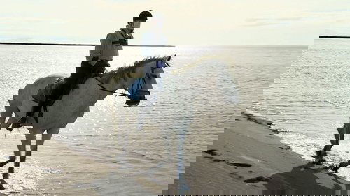Background image for Early Summer on the Ishikari Coastline