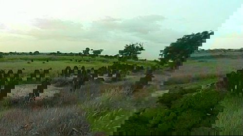 Background image for Episode 12