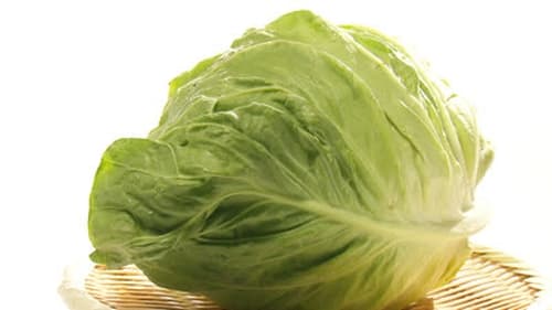 Cabbage