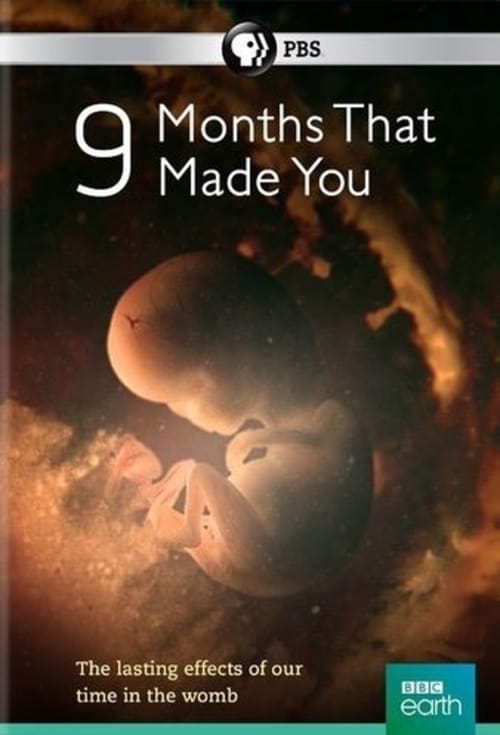 Show cover for 9 Months That Made You