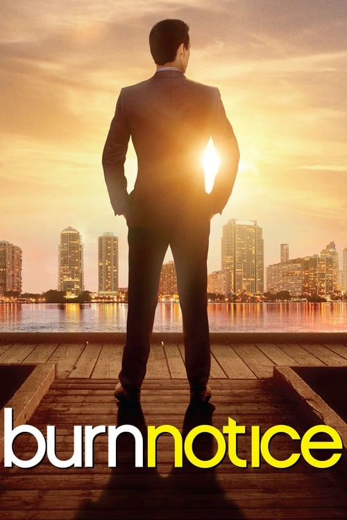 Show cover for Burn Notice