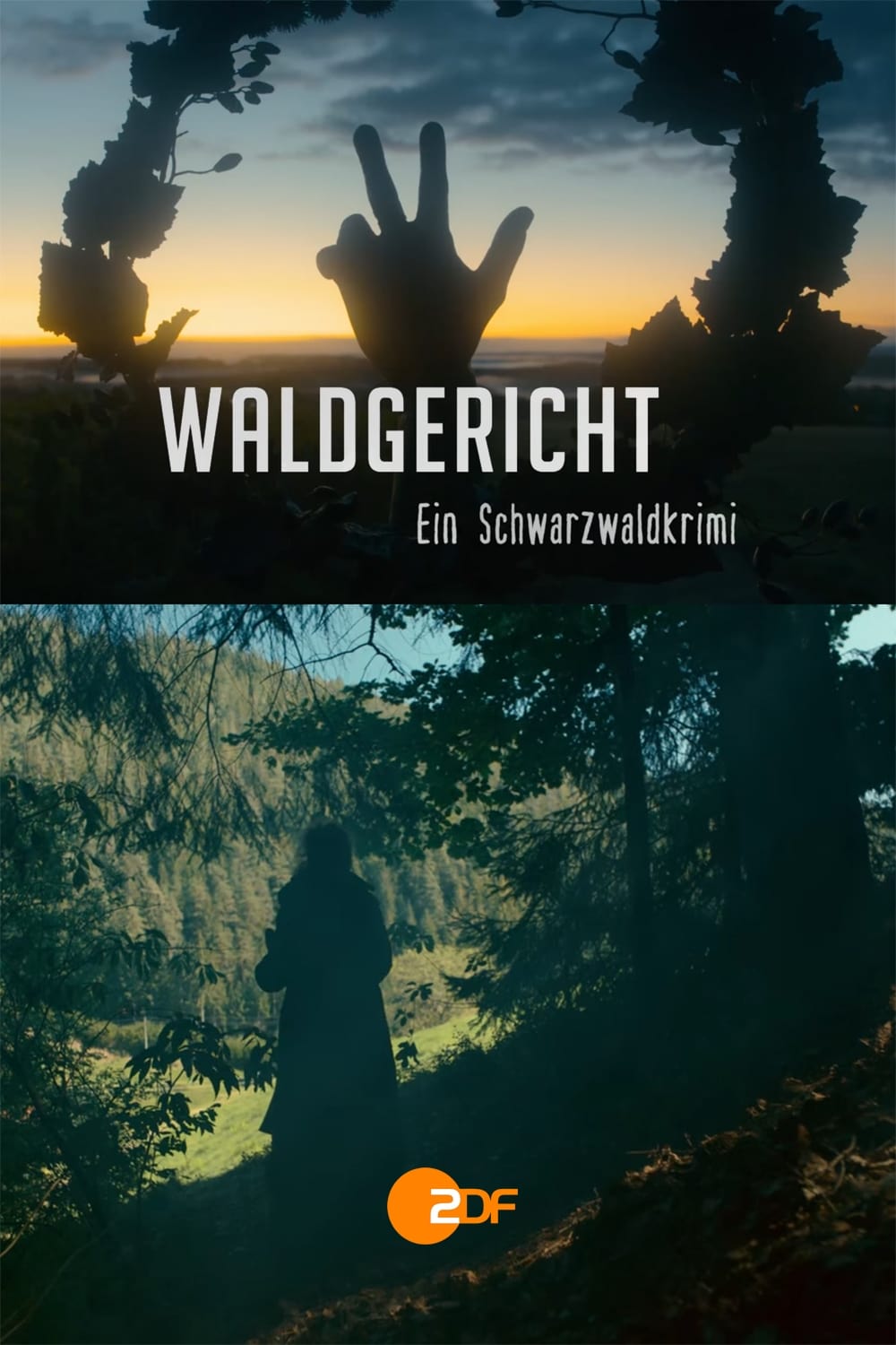 Show cover for Waldgericht - Ein Schwarzwaldkrimi