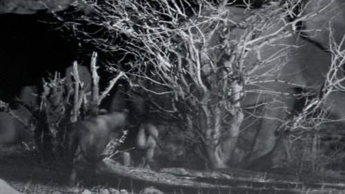 Background image for Opportunists