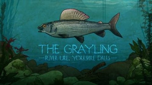 The Grayling: River Ure, Yorkshire Dales