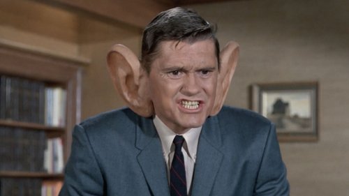Background image for My, What Big Ears You Have