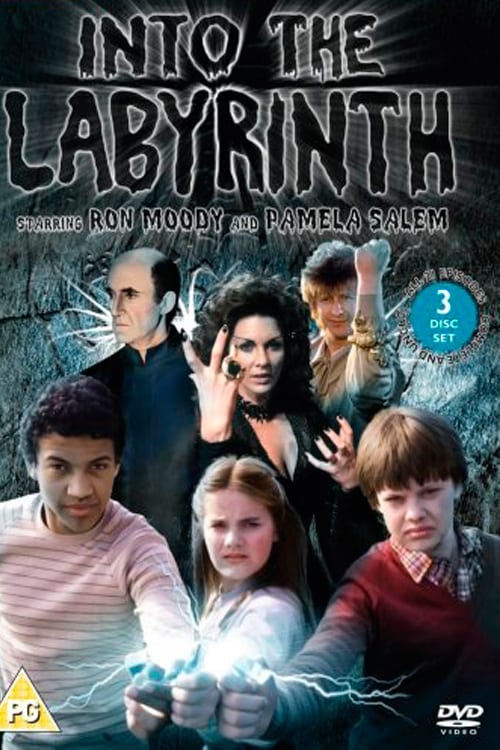 Show cover for Into the Labyrinth