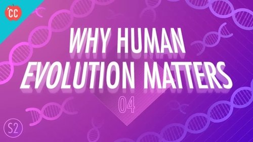 Background image for Why Human Evolution Matters
