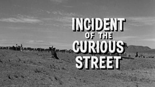 Incident of the Curious Street