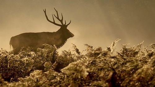 Background image for Episode 4