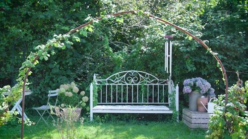 Background image for A community garden