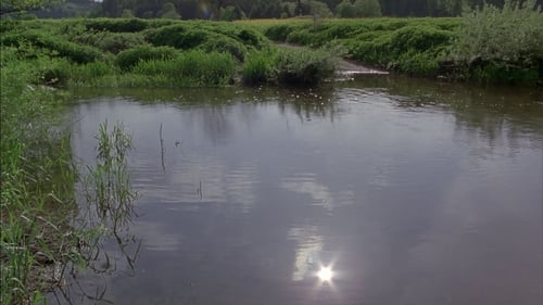 The Danube