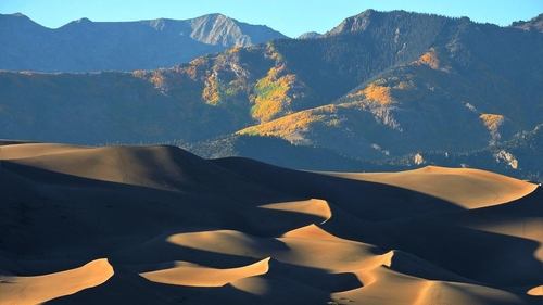 Settling the Sand Dunes