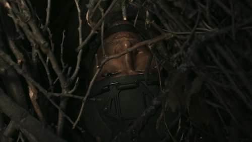 Background image for The Snare