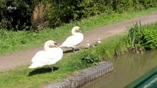 Background image for Grand Union and Stratford Canal