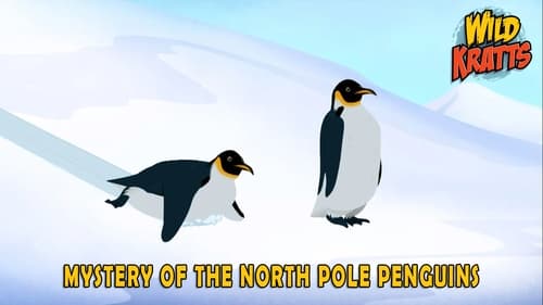 Mystery of the North Pole Penguin