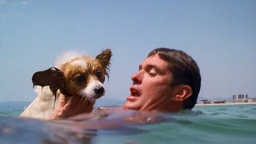 Background image for The Swimmer