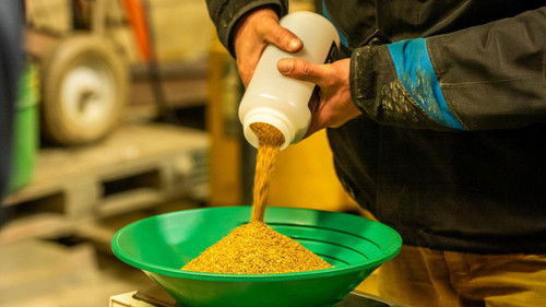 Background image for Last Gasp for Gold