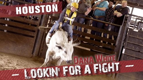 Background image for Houston