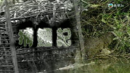 Episode 291