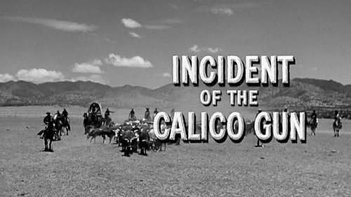 Incident of the Calico Gun