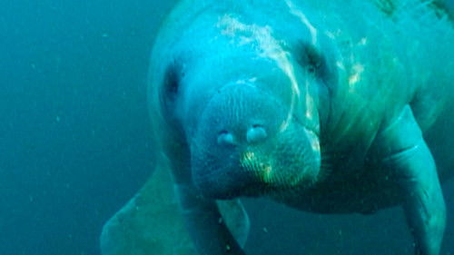 Background image for Blood Red Rain