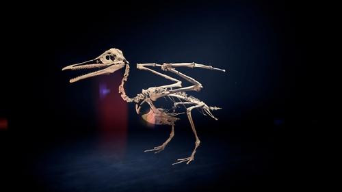 Background image for Dino Birds