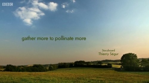 Background image for Gather more to pollinate more