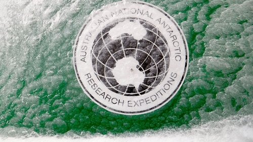 Background image for Atom Hunters in Antarctica