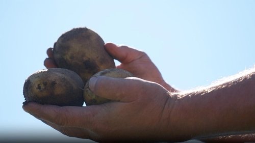 Background image for Milwaukee's Chef Collaboration Dinner, Sterling Farm, Alsum Farms & Produce