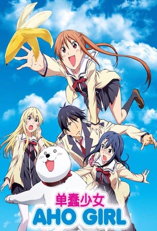 Show cover for AHO-GIRL