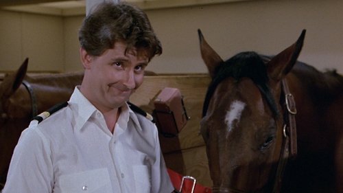 Background image for Secretary to the Stars/Julie's Decision/The Horse Lover/Gopher and Isaac Buy a Horse