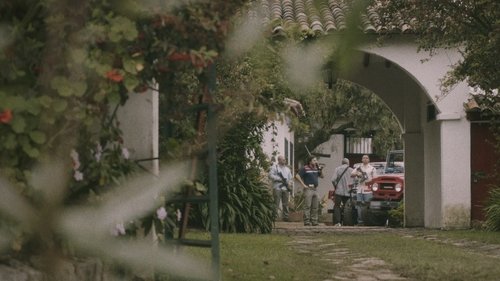 Background image for The Medellin Cartel