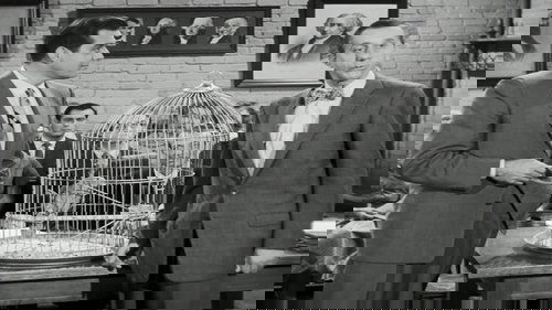 Background image for The Case of the Perjured Parrot